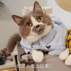 吃瓜路人阿狸,揭秘娱乐圈幕后故事