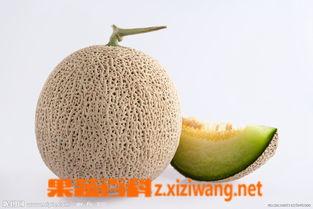 孕妇吃半个蜜瓜,半个蜜瓜的神奇营养与美味