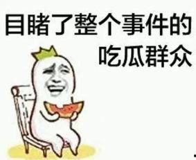 喜喜熊猫吃瓜群众,吃瓜群众的欢乐盛宴