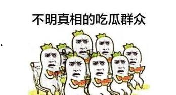 吃瓜的新姿势,解锁新姿势，畅享瓜界盛宴